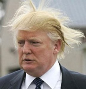 trump-hair